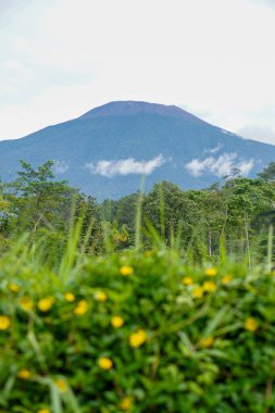 The beauty of Baturaden landscape in Banyumas Regency, Central Java, indonesia. It was taken on January 08, 2025 by a professional. It's a wonderful landscape with a nice view clipart