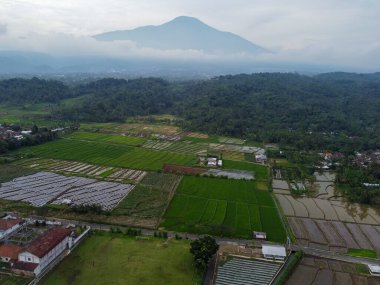 Banyumas Regency, Central Java, Endonezya 'daki Slamet Dağı' nın güzelliği. 15 Ocak 2025 'te bir profesyonel tarafından çekilmiş. Güzel manzaralı harika bir manzara.