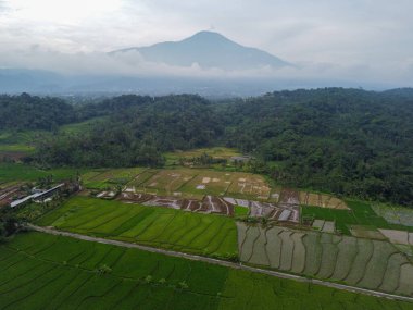 The beauty of Slamet Mountain in Banyumas Regency, Central Java, indonesia. It was taken on January 15, 2025 by a professional. It's a wonderful landscape with a nice view clipart