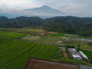 Banyumas Regency, Central Java, Endonezya 'daki Slamet Dağı' nın güzelliği. 15 Ocak 2025 'te bir profesyonel tarafından çekilmiş. Güzel manzaralı harika bir manzara.