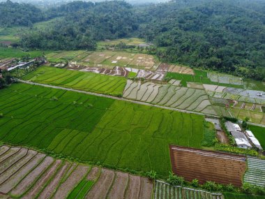 Banyumas Regency, Central Java, Endonezya 'daki Slamet Dağı' nın güzelliği. 15 Ocak 2025 'te bir profesyonel tarafından çekilmiş. Güzel manzaralı harika bir manzara.
