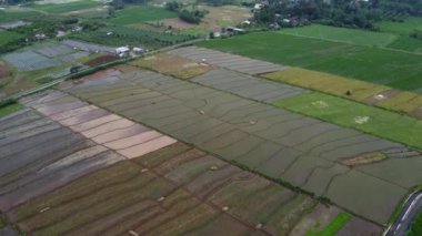 Banyumas Regency, Central Java, Endonezya 'daki Baturaden manzarasının insansız hava aracı görüntüsü. 9 Ocak 2025 'te bir profesyonel tarafından çekilmiş. Güzel manzaralı harika bir manzara.
