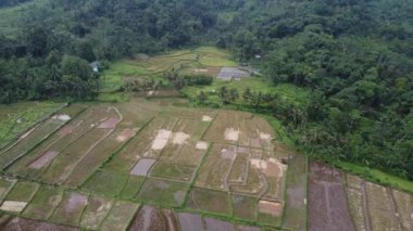 Banyumas Regency, Central Java, Endonezya 'daki Baturaden manzarasının insansız hava aracı görüntüsü. 9 Ocak 2025 'te bir profesyonel tarafından çekilmiş. Güzel manzaralı harika bir manzara.
