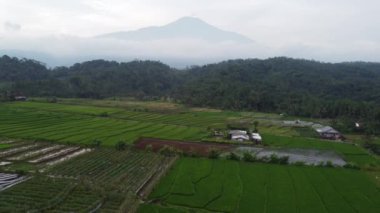 Banyumas Regency, Central Java, Endonezya 'daki Baturaden manzarasının insansız hava aracı görüntüsü. 9 Ocak 2025 'te bir profesyonel tarafından çekilmiş. Güzel manzaralı harika bir manzara.