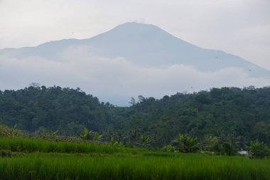 Banyumas Regency, Central Java, Endonezya 'daki Slamet Dağı' nın güzelliği. 15 Ocak 2025 'te bir profesyonel tarafından çekilmiş. Güzel manzaralı harika bir manzara.