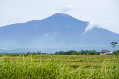 Banyumas Regency, Central Java, Endonezya 'daki Slamet Dağı' nın güzelliği. 15 Ocak 2025 'te bir profesyonel tarafından çekilmiş. Güzel manzaralı harika bir manzara.
