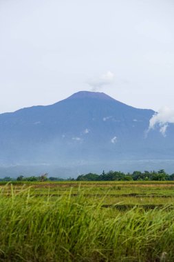 The beauty of Slamet Mountain in Banyumas Regency, Central Java, indonesia. It was taken on January 15, 2025 by a professional. It's a wonderful landscape with a nice view clipart