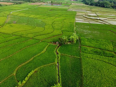 Banyumas Regency, Central Java, Endonezya 'daki Slamet Dağı' nın insansız hava aracı görüntüsü. 15 Ocak 2025 'te bir profesyonel tarafından çekilmiş. Güzel manzaralı harika bir manzara.