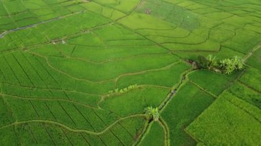 Banyumas Regency, Central Java, Endonezya 'daki Slamet Dağı' nın insansız hava aracı görüntüsü. 15 Ocak 2025 'te bir profesyonel tarafından çekilmiş. Güzel manzaralı harika bir manzara.