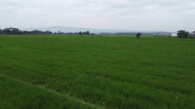 Banyumas Regency, Central Java, Endonezya 'daki Purwokerto şehrinin insansız hava aracı görüntüsü. 21 Ocak 2025 'te bir profesyonel tarafından çekildi. Güzel manzaralı harika bir şehir manzarası.