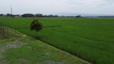 Banyumas Regency, Central Java, Endonezya 'daki Purwokerto şehrinin insansız hava aracı görüntüsü. 21 Ocak 2025 'te bir profesyonel tarafından çekildi. Güzel manzaralı harika bir şehir manzarası.