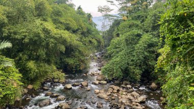 Endonezya 'da bir tropikal ormandan akan kristal berrak nehir, 4 Şubat 2025' te ele geçirildi. Saf su ve yemyeşil yeşil sakin bir doğal manzara yaratır.