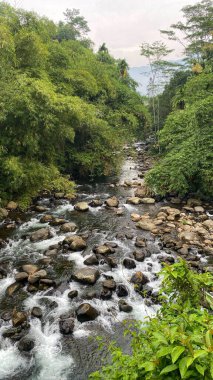 Endonezya 'da bir tropikal ormandan akan kristal berrak nehir, 4 Şubat 2025' te ele geçirildi. Saf su ve yemyeşil yeşil sakin bir doğal manzara yaratır.