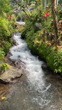 Endonezya 'daki Majestic Grojogan Ratu şelalesi, 10 Şubat 2025' te ele geçirildi. Şelale gibi akan su, yemyeşil tropikal yeşillikler boyunca akar, dingin ve nefes kesici bir doğal manzara yaratır.