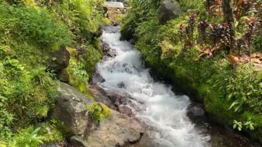 Endonezya 'daki Majestic Grojogan Ratu şelalesi, 10 Şubat 2025' te ele geçirildi. Şelale gibi akan su, yemyeşil tropikal yeşillikler boyunca akar, dingin ve nefes kesici bir doğal manzara yaratır.