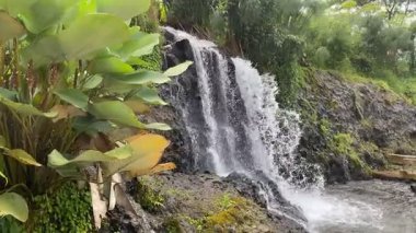 Endonezya 'daki Majestic Grojogan Ratu şelalesi, 10 Şubat 2025' te ele geçirildi. Şelale gibi akan su, yemyeşil tropikal yeşillikler boyunca akar, dingin ve nefes kesici bir doğal manzara yaratır.