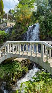 Endonezya 'daki Majestic Grojogan Ratu şelalesi, 10 Şubat 2025' te ele geçirildi. Şelale gibi akan su, yemyeşil tropikal yeşillikler boyunca akar, dingin ve nefes kesici bir doğal manzara yaratır.