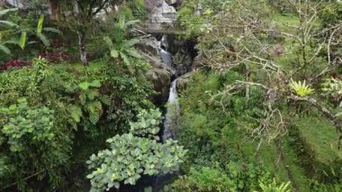 Kanesia Şelalesi, Endonezya, insansız hava aracı 4 Haziran 2025 'te vuruldu. Küçük doğal bir şelale kayaların üzerine dökülüyor, yemyeşil tropikal orman ve hafif sisle çevrili..