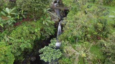 Kanesia Şelalesi, Endonezya, insansız hava aracı 4 Haziran 2025 'te vuruldu. Küçük doğal bir şelale kayaların üzerine dökülüyor, yemyeşil tropikal orman ve hafif sisle çevrili..