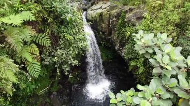 Kanesia Şelalesi, Endonezya, insansız hava aracı 4 Haziran 2025 'te vuruldu. Küçük doğal bir şelale kayaların üzerine dökülüyor, yemyeşil tropikal orman ve hafif sisle çevrili..