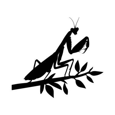 Avector silhoutte image of a mantis icon with a white background clipart