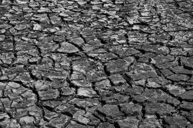 Uzun kurak mevsim nedeniyle çatlamış toprağın siyah ve beyaz görüntüsü. Sıcak ve kuru iklimin tarifi. Küresel ısınma konusuyla ilgili. soyut şekiller, desenler ve dokular. Boşluğu kopyala