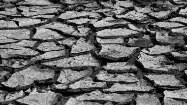 Uzun kurak mevsim nedeniyle çatlamış toprağın siyah ve beyaz görüntüsü. Sıcak ve kuru iklimin tarifi. Küresel ısınma konusuyla ilgili. soyut şekiller, desenler ve dokular. Boşluğu kopyala