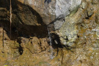 Nehir duvarından su damlıyor. Nehrin etrafındaki yaylar. Nehir duvarları sert kayadır.