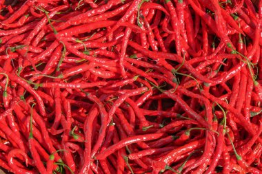 Şekil, desen ve güneşte kurutulmuş kırmızı biber dokusu. Fidanlar için acı biber. İçinde biber vardı. Grafik tasarımı veya afiş arkaplanı için