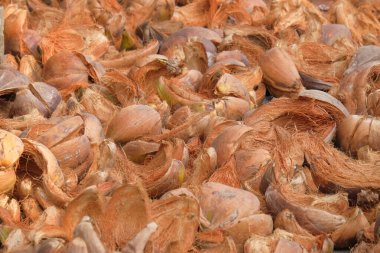 Soyut şekiller, desenler ve kuru kahverengi hindistan cevizi kabukları. El işi endüstrisi için Hindistan cevizi kabukları.