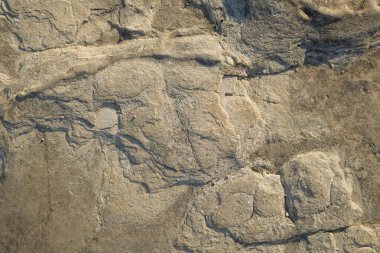 Soyut şekiller, kalıplar ve sert toprak dokuları kayalara benziyor. Sertleştirilmiş, yoğun çamur. Sert zemin yüzeyleri için desen. Grafik tasarımlar ya da afişler için. Endüstriyel kavram Doğal model ve tekil arkaplan