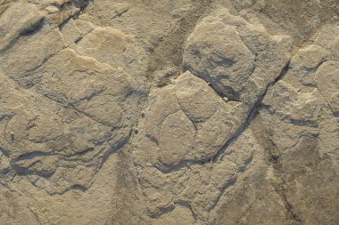 Soyut şekiller, kalıplar ve sert toprak dokuları kayalara benziyor. Sertleştirilmiş, yoğun çamur. Sert zemin yüzeyleri için desen. Grafik tasarımları veya afişler için. Dünya element kavramı