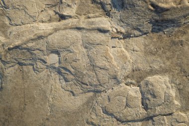 Soyut şekiller, kalıplar ve sert toprak dokuları kayalara benziyor. Sertleştirilmiş, yoğun çamur. Sert zemin yüzeyleri için desen. Grafik tasarımları veya afişler için. Dünya element kavramı