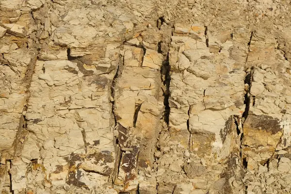 Soyut şekiller, kalıplar ve sert toprak dokuları kayalara benziyor. Sertleştirilmiş, yoğun çamur. Sert zemin yüzeyleri için desen. Grafik tasarımları veya afişler için. Dünya element kavramı