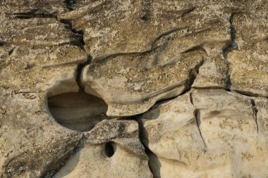 Soyut şekiller, desenler ve delikli kireçtaşı yüzeyinin dokuları. Delinmiş kireçtaşı duvar ve soyut çizgiler. Rengi beyaz ve kuru yosun nedeniyle biraz siyah. Grafik tasarımı ve afiş arkaplanları için