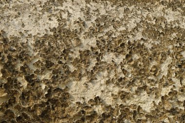 Soyut şekiller, kalıplar ve soyulmuş kireçtaşı yüzeylerinin dokusu. Kireçtaşı kirli görünüyor. Koyu beyaz. Grafik tasarımı veya afiş arkaplanı için soyut