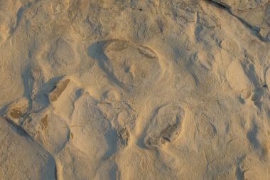 Kireçtaşı yüzeyindeki soyut süs. Gölün kenarındaki kireçtaşı duvar. Kireç taşının yüzeyindeki doğal süsler. Grafik tasarımı veya afiş arkaplanı için. Çevre kavramı