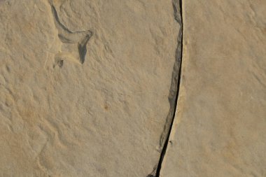 Kireçtaşı yüzeyindeki soyut süs. Gölün kenarındaki kireçtaşı duvar. Kireç taşının yüzeyindeki doğal süsler. Grafik tasarımı veya afiş arkaplanı için. Çevre kavramı