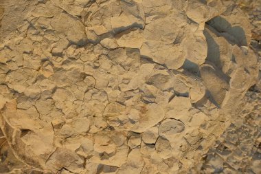 Kireçtaşı yüzeyindeki doğal çatlakların soyut desenleri, şekilleri ve dokuları. Gölün kenarındaki kireçtaşı duvar. Kireç taşının yüzeyindeki doğal süsleme şekilleri. Grafik tasarımı veya afiş arkaplanı için