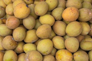 Kahverengi sapodilla meyvesinin soyut şekilleri, desenleri ve dokuları. Taze görünen bir yığın olgun sapodilla meyvesi