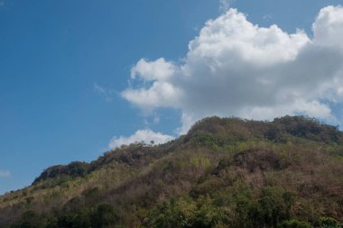 Kurak mevsim nedeniyle kurak tepe manzarası mavi gökyüzü arka planında. Yaprak döken ağaçlar kuru görünüyor.