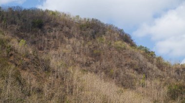 Mavi gökyüzü ve beyaz bulutlardan oluşan kuru ve çorak tepelerin manzarası. Kurak mevsim nedeniyle ağaçlar kurumaya başlıyor.