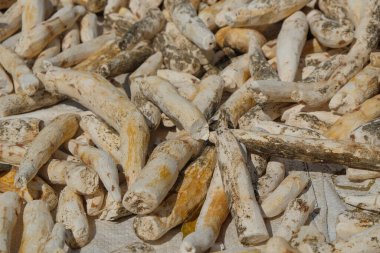 Soyut şekiller, desenler ve güneşte kurutulmuş manyok desenleri. Cassava, tapyoka unu yapımında hammadde olarak kullanılır. Koyu beyaz