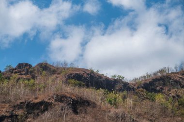 Uçurumun kenarındaki kurumuş bitkiler mavi gökyüzü arka planına karşı. Kurak mevsimde yoğun kayalıkların ve kuru bitkilerin manzarası. Çorak ve sıcak görünüyor.
