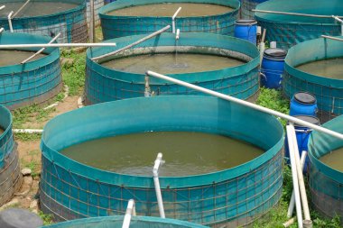 Biyolok sistemli gölet. Balık havuzu bir branda kullanır ve şekli daireseldir. Biyo-lok sistemli yayın balığı göleti görünümü