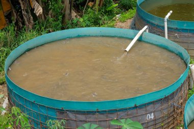 Biyolok sistemli gölet. Balık havuzu bir branda kullanır ve şekli daireseldir. Biyo-lok sistemli yayın balığı göleti görünümü