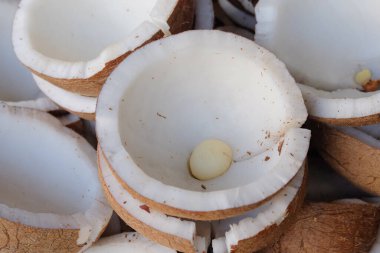 Soyulmuş ve soyulmuş hindistan cevizlerini soyulmuş desenler ve dokularla kapayın. Beyaz renkli ve kahverengi tenli hindistan cevizi eti. Hindistan cevizi sütü yapmak için.