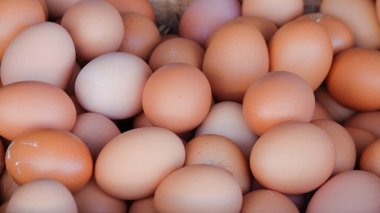 Soyut desenleri ve dokuları olan tavuk yumurtası yığını. Dükkan zemininde yumurtalar. Yumurtalar kirli görünüyor. Temel ihtiyaçlar ve grafik tasarımı hakkında yazılar için