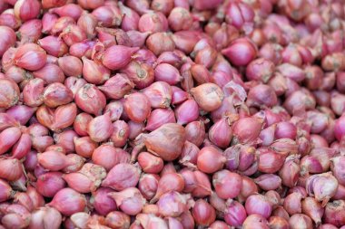 Soyut desen ve arpacık soğanı yığını şekli. Baharat pişirmek için kırmızı soğan. Grafik tasarımı için doğal desen ve doku arka planı. Tarım ve ticaret endüstrisi maddeleriyle ilgili