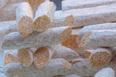 Plastik bir Tempeh yığınının soyut deseni ve dokusu. Tempeh soya fasulyesinden yapılan bir besin maddesidir. Tipik Endonezya yemekleri